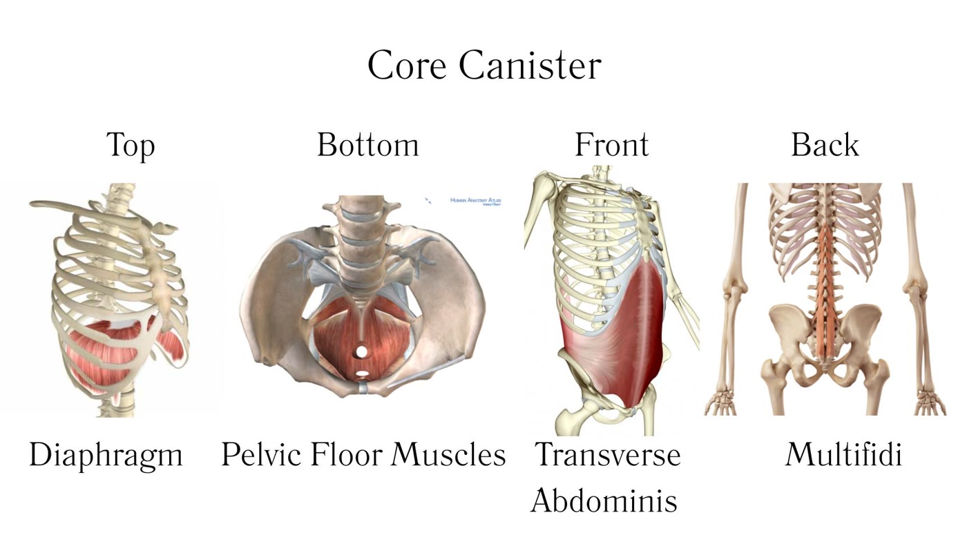 core canister diagram